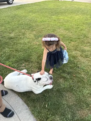 Chunk COURTESY POST