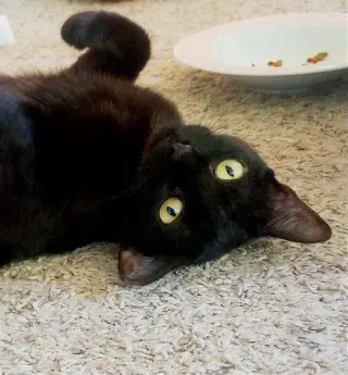 Kali