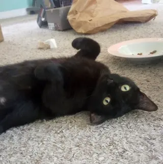 Kali