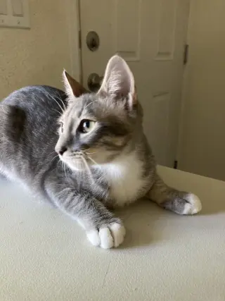 Max