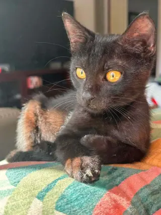 Binx