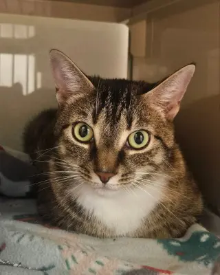 Lucy