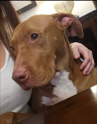 Caesar