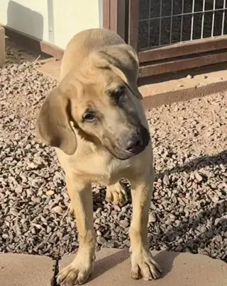 Yuma
