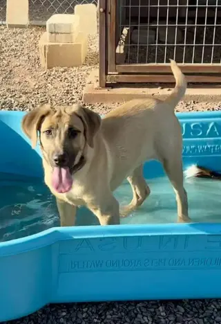 Yuma