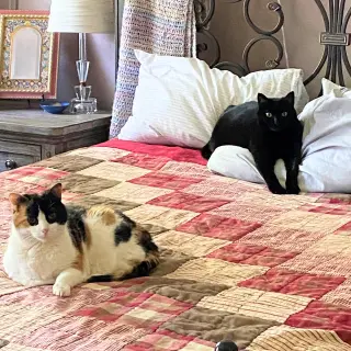 Boo & Scout