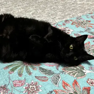 Boo & Scout