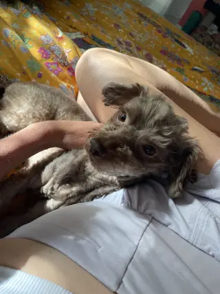 Twyla