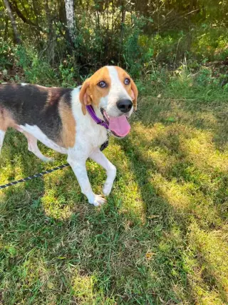 Cowboy: At shelter