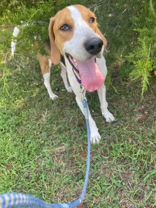 Cowboy: At shelter
