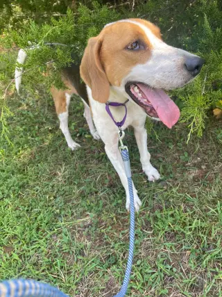 Cowboy: At shelter