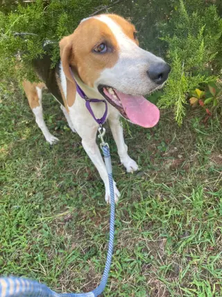 Cowboy: At shelter
