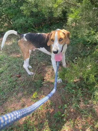 Cowboy: At shelter