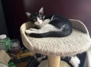 Rory