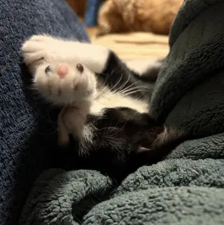 Rory