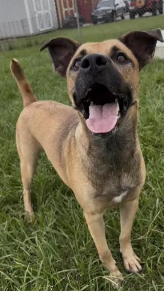 SHILOH