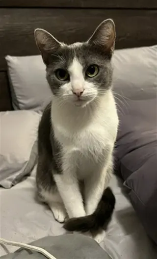 LUNA