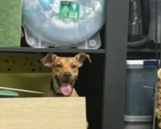 TUCKER