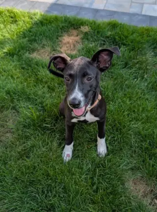 Sally