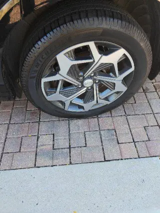 Hyundai PALISADE 2021 AWD Calligraphy 4dr SUV