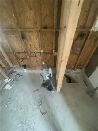 professional plumbing