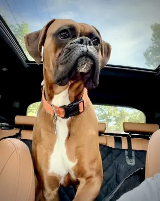 Mac