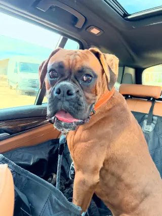 Mac