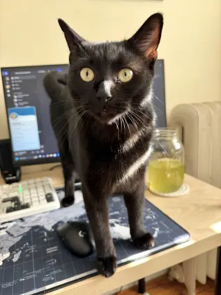 Jade