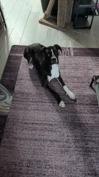 KALI