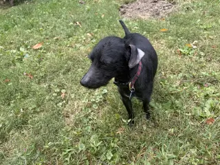 Bobby: Miracle Boy!