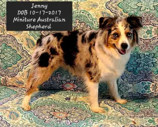Jenny