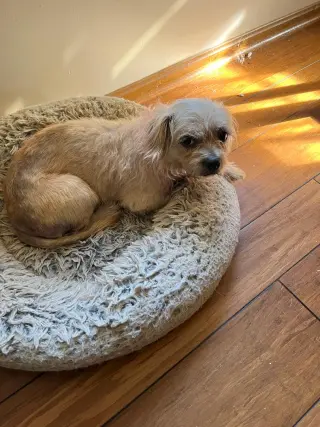 Freya