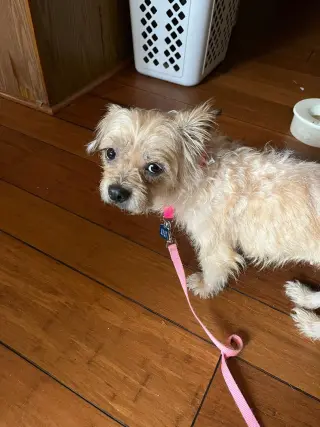 Freya