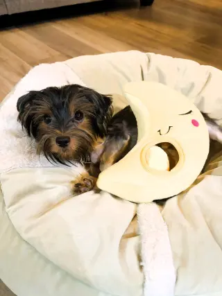 Luna