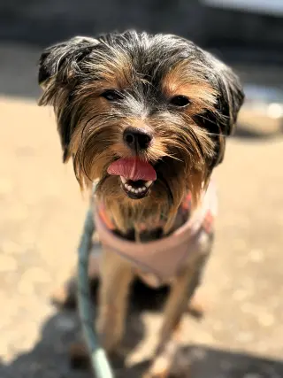 Luna