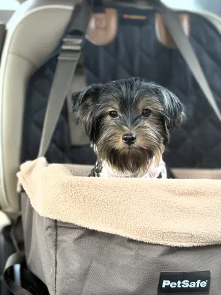 Luna