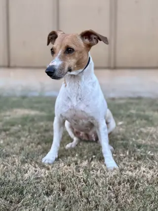 Hannah