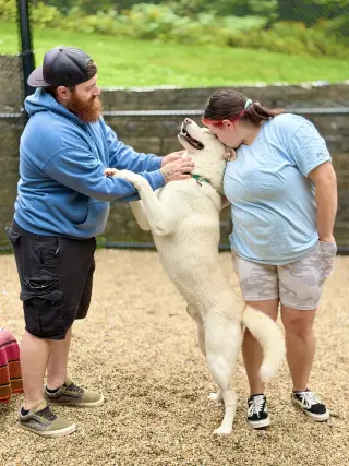 Simba 2