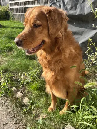 Ruby