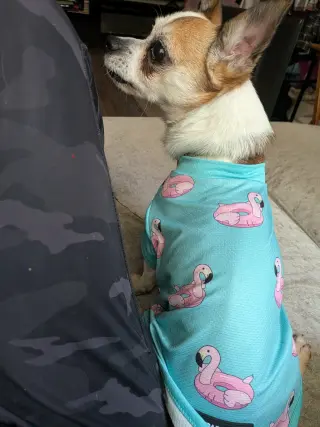 Bugsy