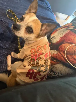 Bugsy