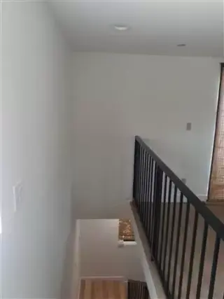 Pintura de todo tipo