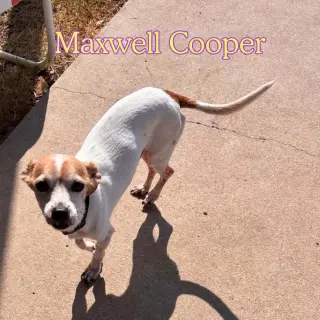 Maxwell Cooper