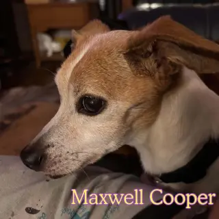 Maxwell Cooper