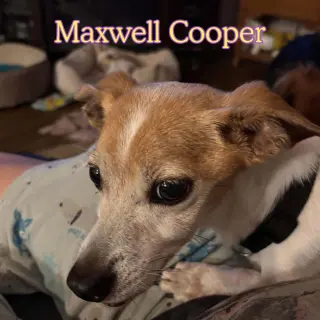 Maxwell Cooper