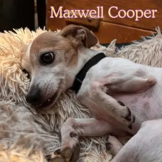 Maxwell Cooper