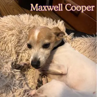 Maxwell Cooper