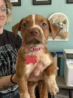 Millie