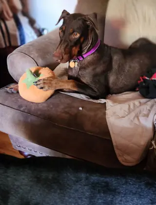 Freya