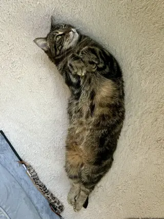 Luna